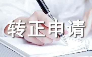 IT技術(shù)員轉(zhuǎn)正申請書