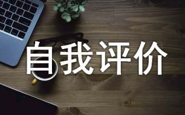 it工程師自我評(píng)價(jià)15篇