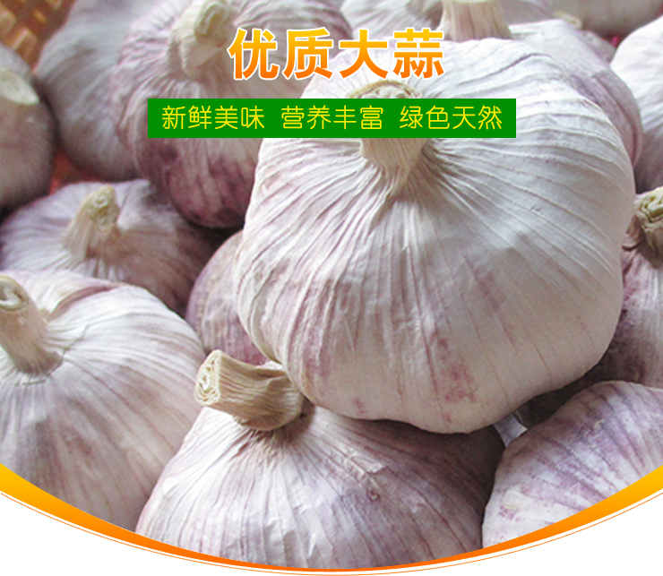 it服務(wù)外包_it維護外包_it外包服務(wù)公司