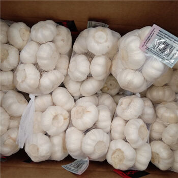 it外包服務(wù)公司_it服務(wù)外包_it維護外包