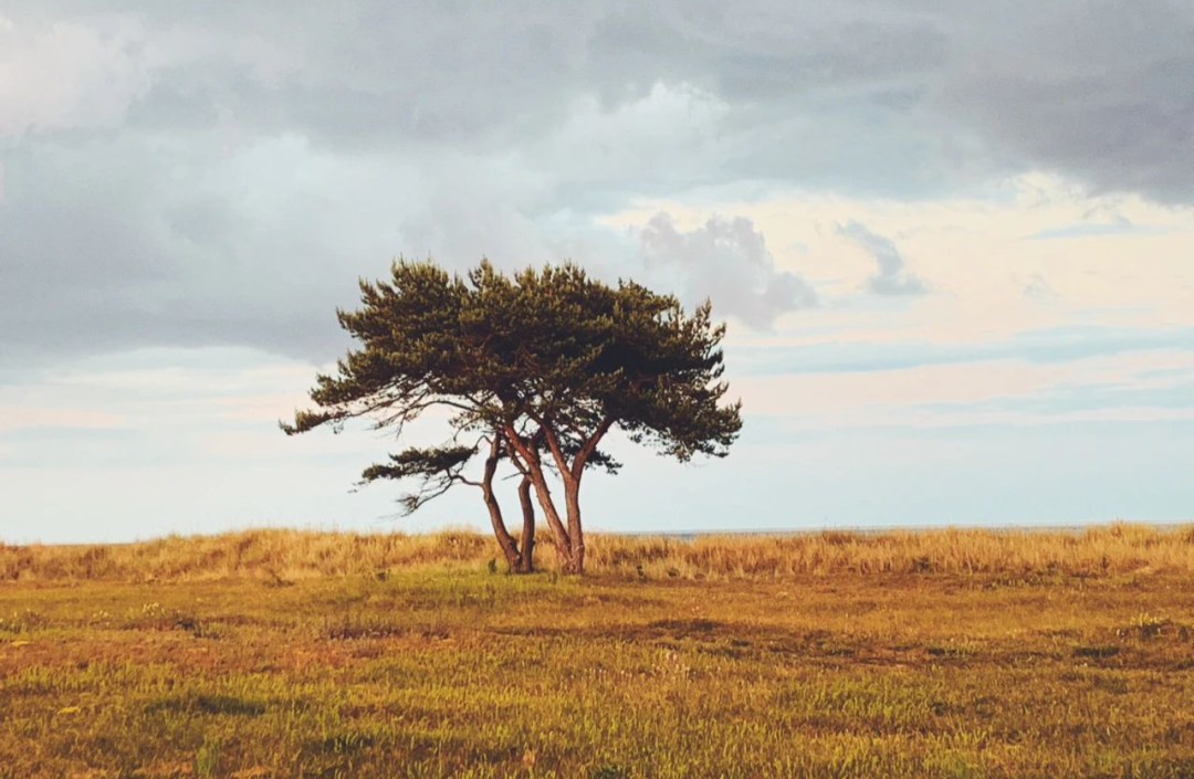 it服務_it服務目錄_it服務合同范本