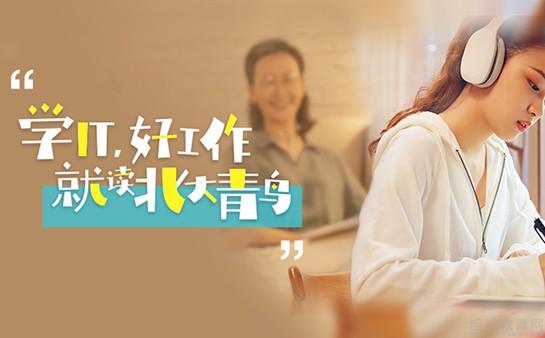 it服務管理系統_it技能服務_電商 供應鏈金融 it咨詢 服務 公司